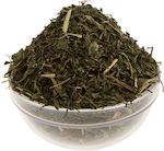 To Poikilopoleio Nettle 250gr