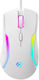 Havit MS1033 RGB Gaming Gaming Maus 8000 DPI Weiß