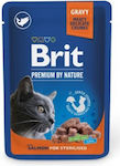 Brit Premium Wet Food for Neutered Cat in Pouch with Salmon 100gr