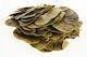 To Poikilopoleio Cassia Senna 100gr