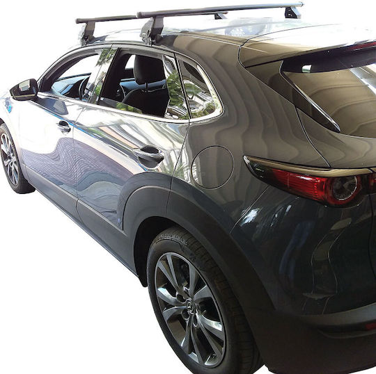 Menabo Roof box Kit (with Roof Rack Legs) Silver