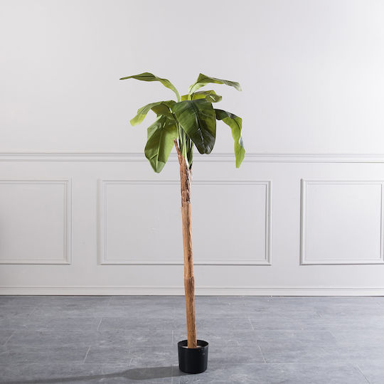 Plantă Artificială în Ghiveci Musa Brad Green 160cm Supergreens