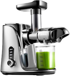 Amzchef Juicer 150W Gray