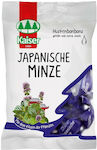 Kaiser 1889 Japanische Minze Bonbons glutenfrei Minze 75gr