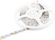 Heliland LED Лента 12V Червено Светлина 1м Тип SMD5050