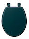 5Five Wooden Toilet Seat Green 45cm