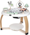 Tiny Love Activity Table for 6++ Months