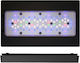 Ecotech Marine Lampă cu led pentru iluminat acvariu cu lumina Albastru 215W