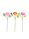Decorative Artificial Flower Buttercup 3 Colors 37cm 24pcs Fylliana