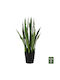 HomeMarkt Artificial Plant in Small Pot Green 22.5cm 1pcs