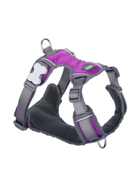 Reddingo Dog Harness Purple Small 7598211