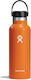 Hydro Flask Standard Mouth Flasche Thermosflasc...