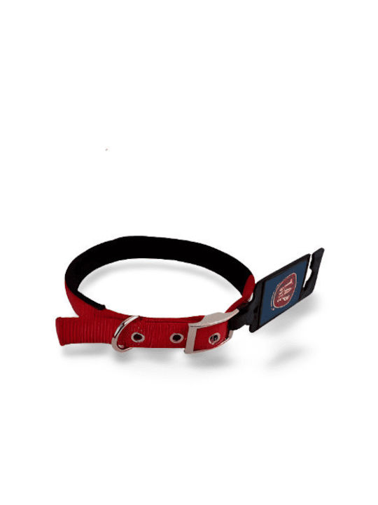 T.A.F. Pets Dog Collar in Green Color Medium 25mm
