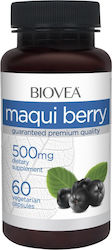 Biovea 500МГ 60 Капсули Maqui Berry Biovea 500МГ 60 Капсули Maqui Berry