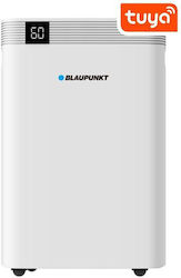 Blaupunkt ADH601 16lt/ημέρα