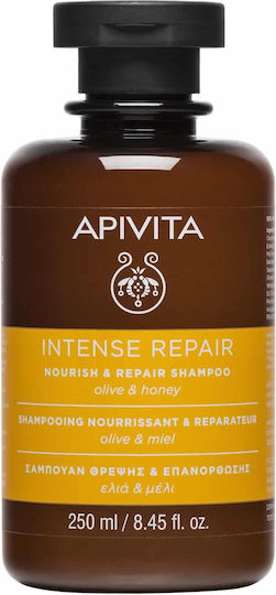 Apivita Intense Repair Olive & Honey Șampon Reconstrucție/Hrană și Strălucire pentru Toate Tipurile de Păr 250ml