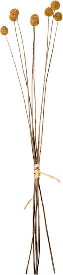 Getrocknete Pflanze Gelb 63cm HomeMarkt