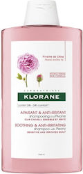 Klorane Peony Shampoo für Empfindliche Kopfhaut...