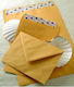 Exas Paper Set of Envelopes Bag Type with Adhes...
