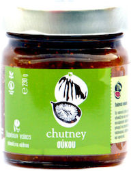 Δαρνάκων Γεύσεις Chutney 230gr