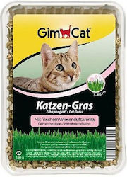 Gimcat Χόρτο για Γάτα Gimcat Χόρτο για Γάτα