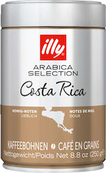 Illy Espresso Μονοποικιλιακός Selection σε Κόκκους 250gr Illy Espresso Μονοποικιλιακός Selection σε Κόκκους 250gr