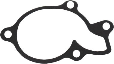 Benelli Gasket Water Pump 153-23-127165