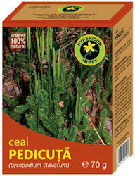 Hypericum impex Ceai 70gr 1buc Hypericum impex Ceai 70gr 1buc