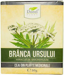 Dorel Plant Τσάι 50 Φακελάκια 50gr