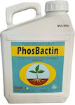 Humofert Fertilizer Phosphorus Npk 1pcs