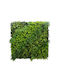 Supergreens Изкуствена панелна листва 1x1м