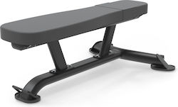 Impulse It7009 Horizontal Trainingsbänke