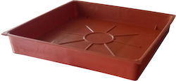 Sic Plast 10164114901 Square Plate Pot Terracotta 11.3x11.3cm