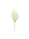 Τεχνητό Διακοσμητικό Κλαδί Pampas grass Εκρού 68cm Supergreens