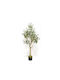 Artificial Outdoor Tree Olive Green 120cm Supergreens