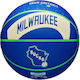Wilson Μπάλα Μπάσκετ Indoor/Outdoor