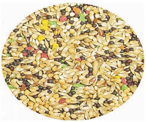 Professional Mix Professional Mix Daily Τροφή για Καναρίνια 25kg