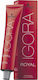 Schwarzkopf Igora Royal Hair Dye 4-6 Chestnut M...