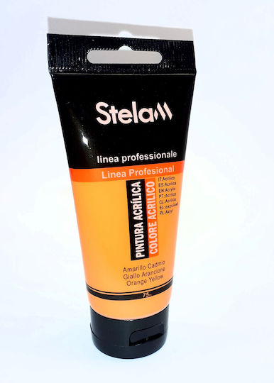 Stelan Acrylic Paint Set Orange Yellow 75ml 1Stück