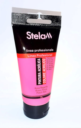 Stelan Acrylic Paint Set Peach Red 75ml 1pcs