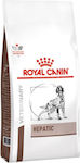 Royal Canin Veterinary Hepatic 7kg Hrană Uscată Dietă pentru Câini Adulți cu Porumb și Orez