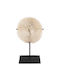 Freebox Metallic Coral Table Decor