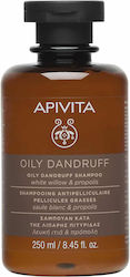Apivita Oily Dandruff Shampoos gegen Schuppen f...