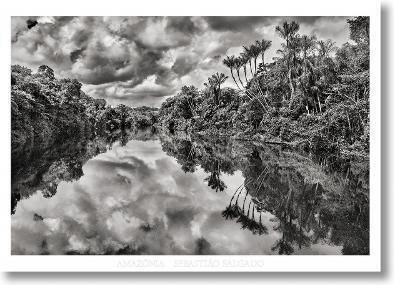 Sebastiæo Salgado. Amazοnia.