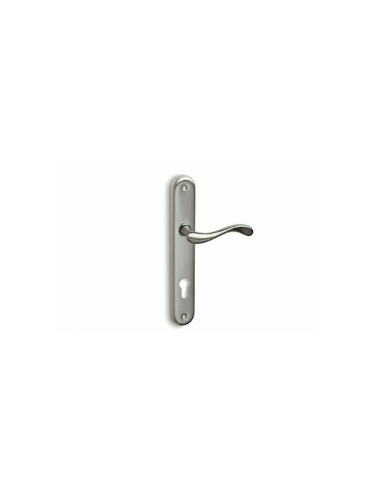 Convex Lever Middle Door with Plate 425 425HRS0...