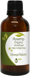 Nature & Body Organic Rose Oil 100ml