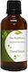 Nature & Body Ιπποφαές Sea Buckthorn Έλαιο Ιπποφαούς 30ml