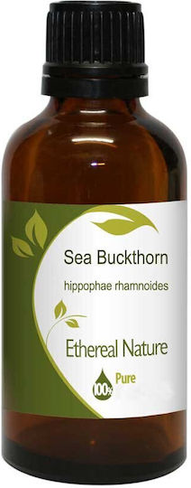 Nature & Body Aromatisches Öl Sanddorn 100ml 1Stück