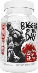 Rich Piana 5% Nutrition Bigger By The Day 120 Kapseln