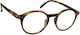 Oramont Reading Glasses +1.50 Coffee Tartaruga ...